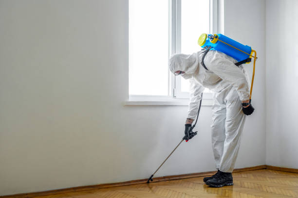 Best Residential Pest Control  in Loretto, TN