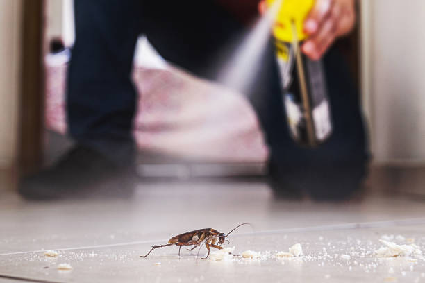 Best Pest Control for Restaurants  in Loretto, TN