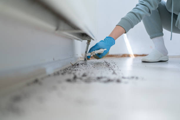 Best Exterminator Services  in Loretto, TN